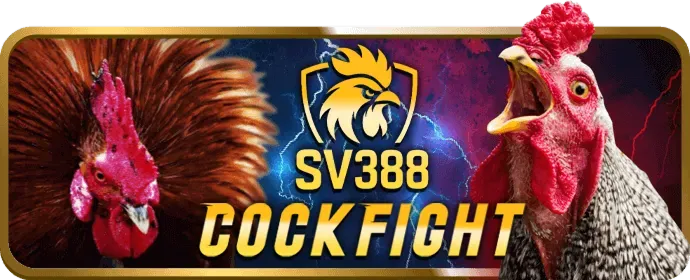 Chương trình VIP e88