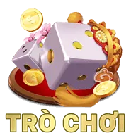 Mã hóa dữ liệu e88